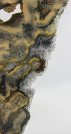 Brazilian Agate Slice