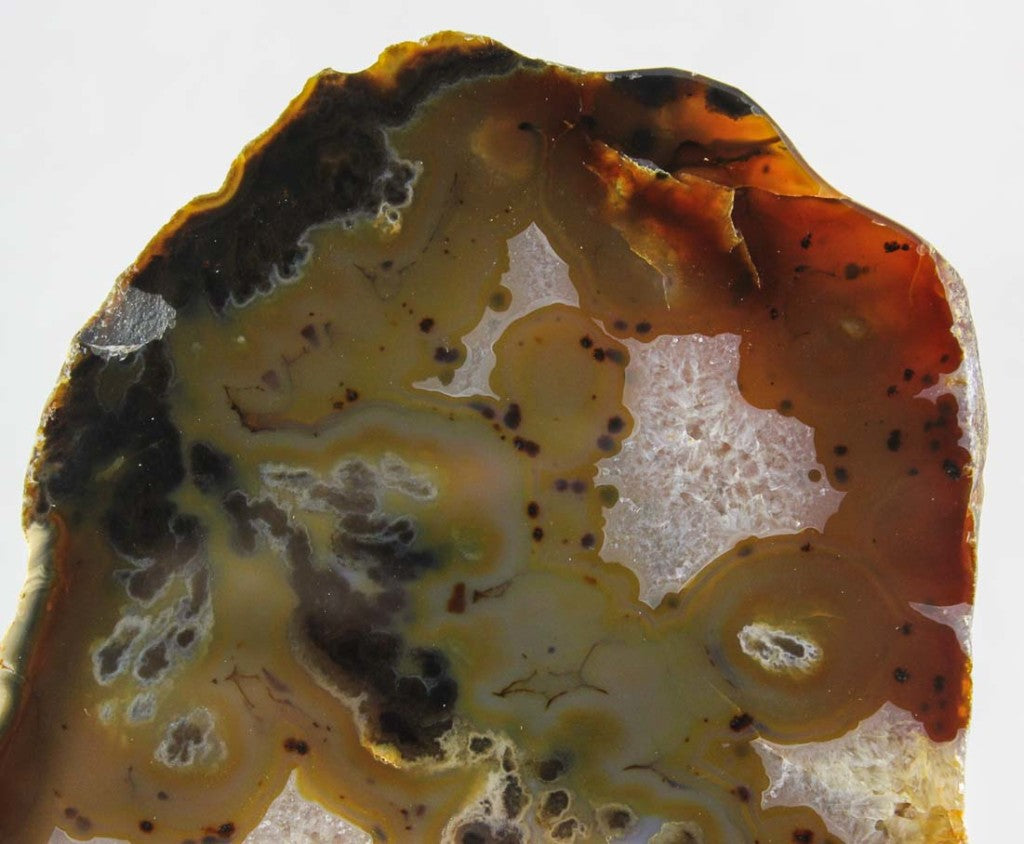 Brazilian Agate Slab