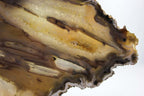 Brazilian Agate Slab