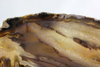 Brazilian Agate Slab