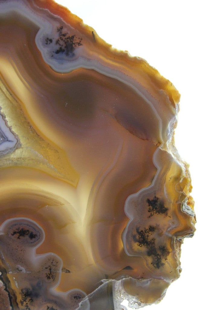 Brazilian Agate Slab