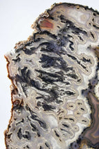 Brazilian Agate Slice