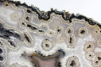 Brazilian Agate Slice