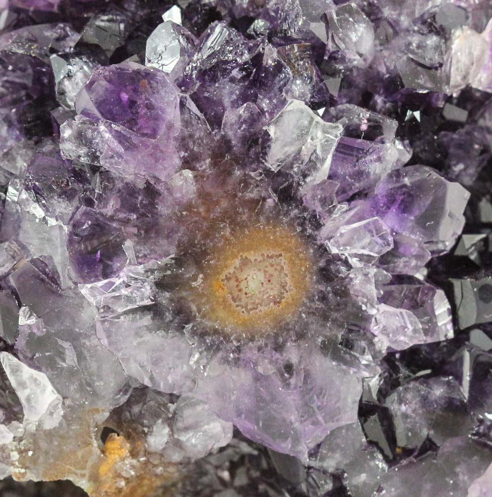 Uruguayan Amethyst w/ Eyes