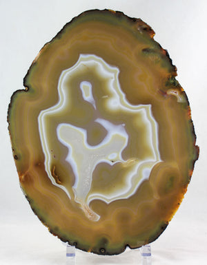 Brazilian Agate Slice
