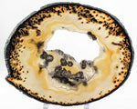 Brazilian Agate Slice