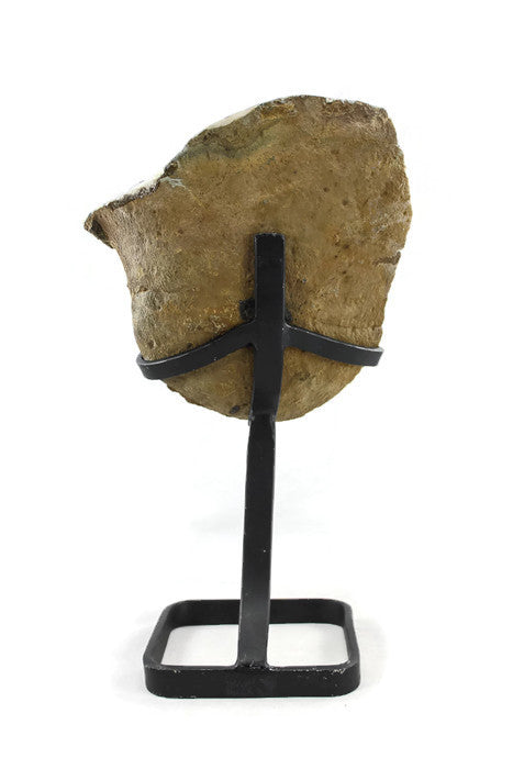 Uruguayan amethyst geode