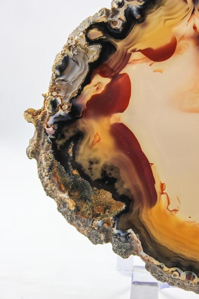 Brazilian Agate Slice
