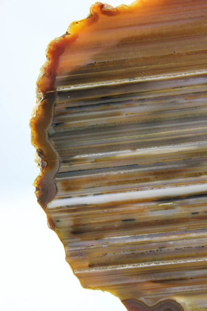 Brazilian Agate Slice
