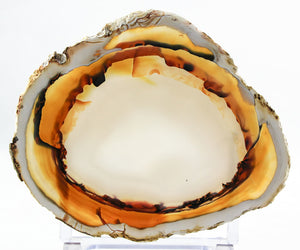 Brazilian Agate Slice