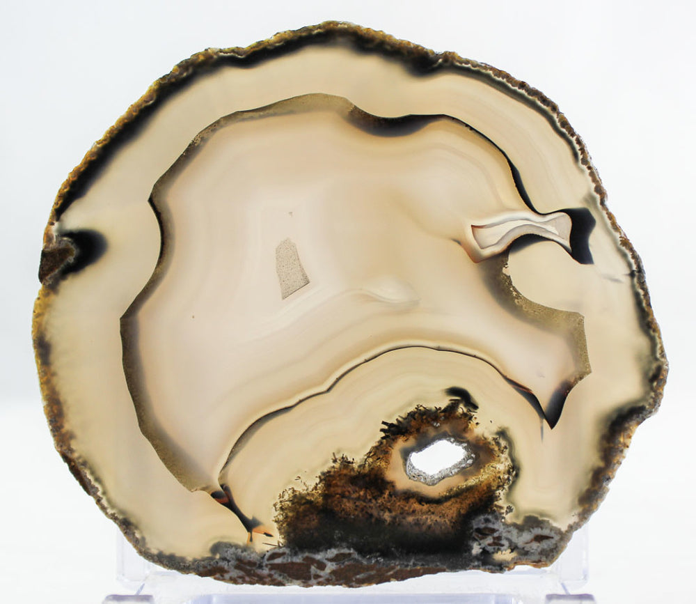 Brazilian Agate Slice