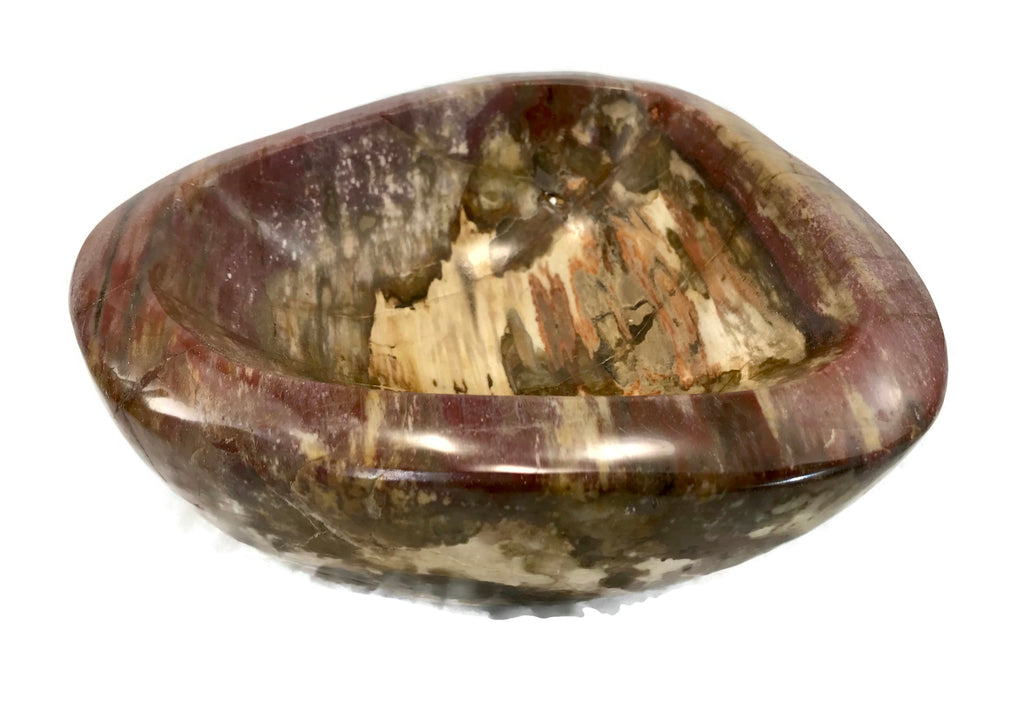 Tree Ringed Petrified Wood Bowl