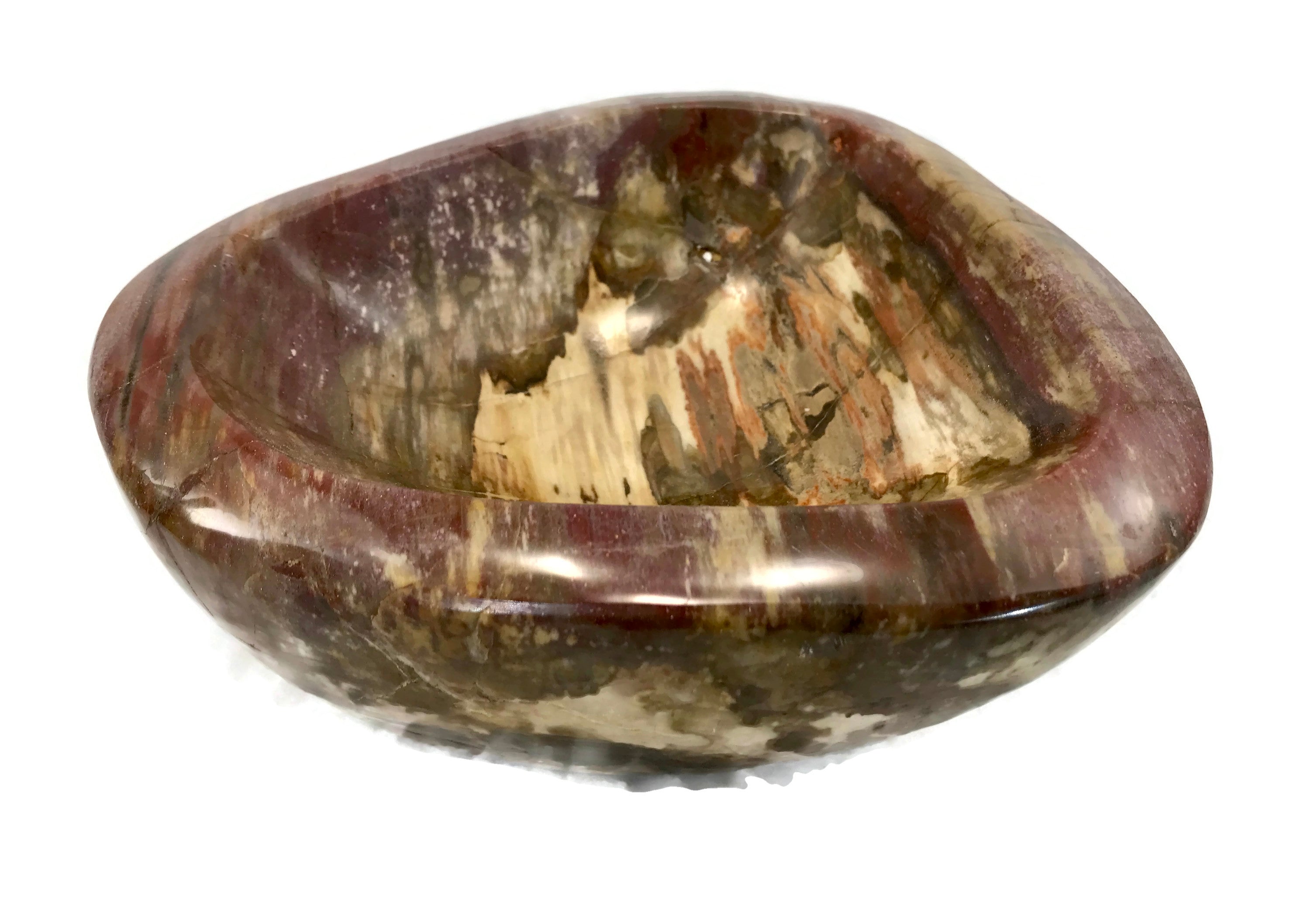 Tree Ringed Petrified Wood Bowl