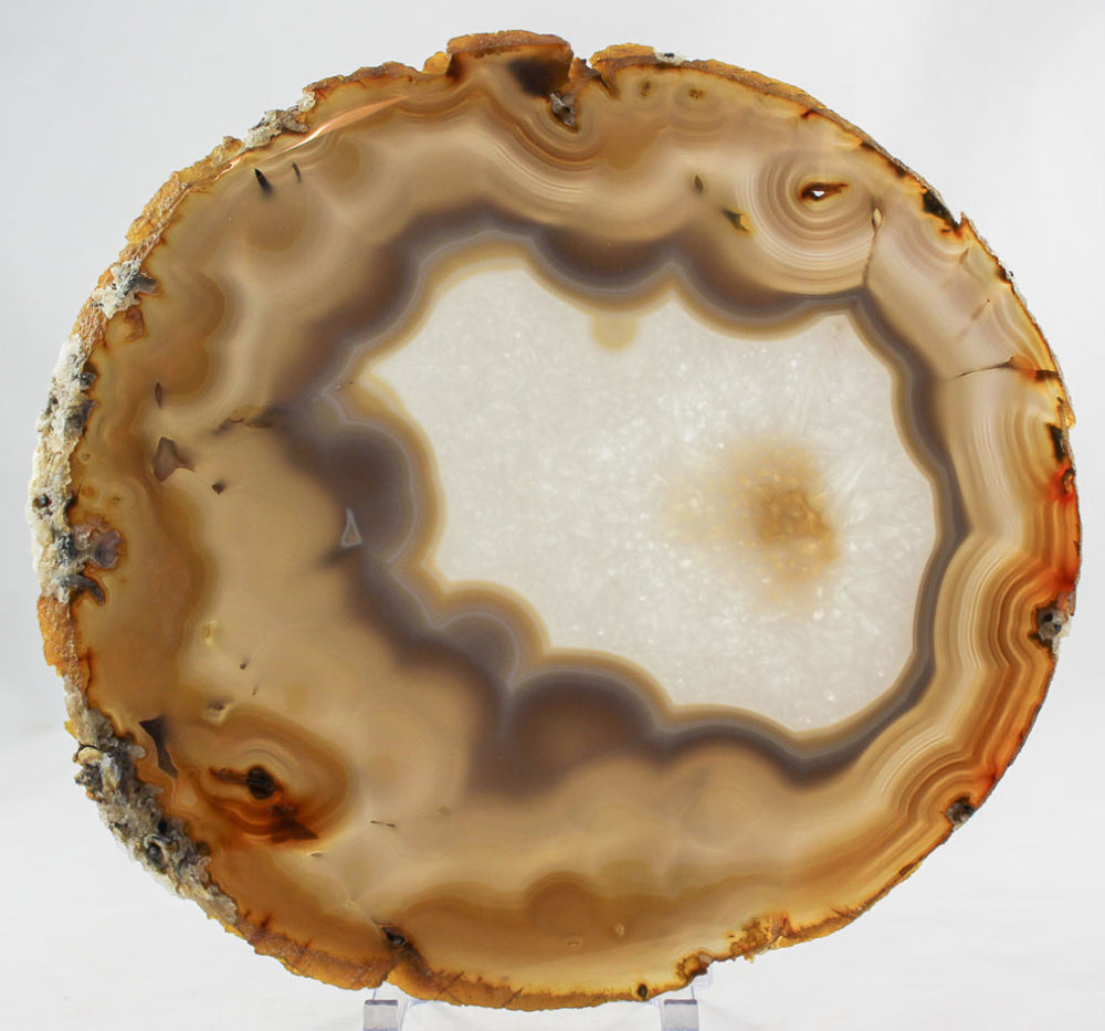 Brazilian Agate Slice