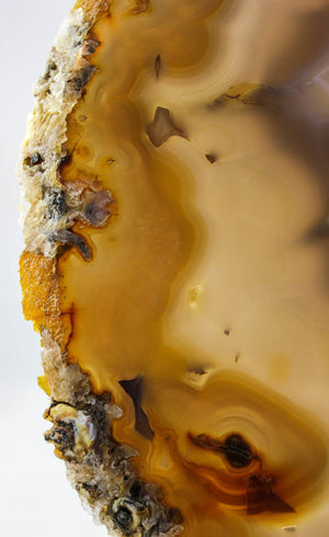 Brazilian Agate Slice