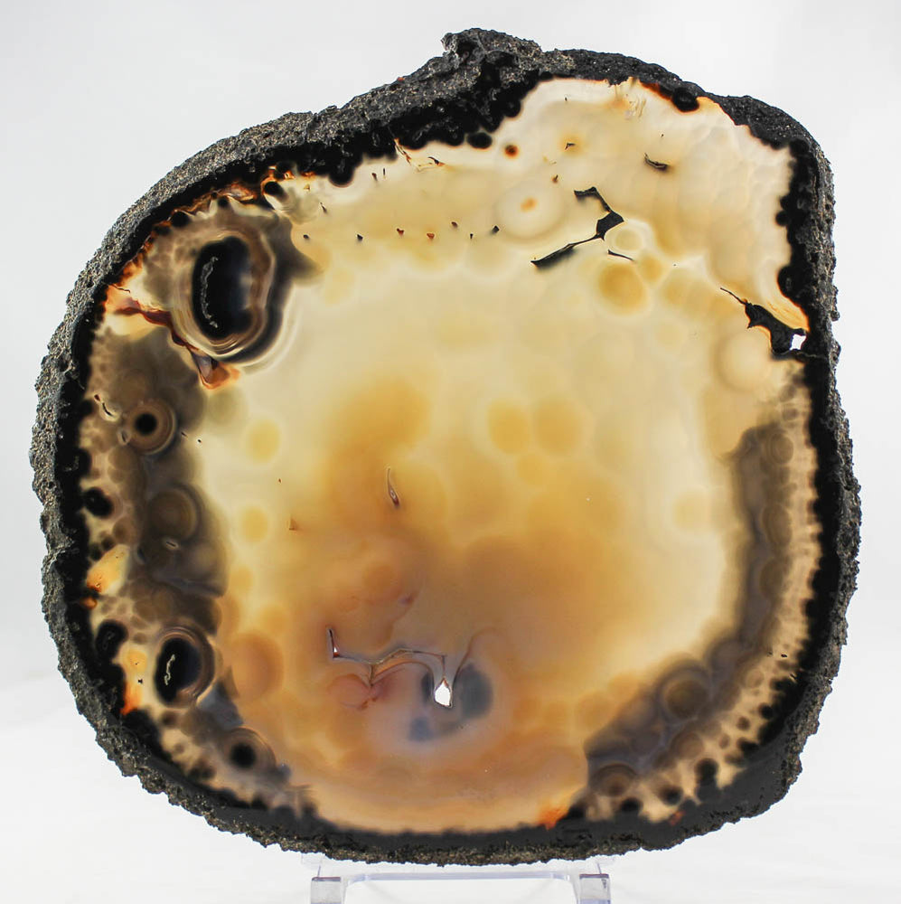 Brazilian Agate Slice