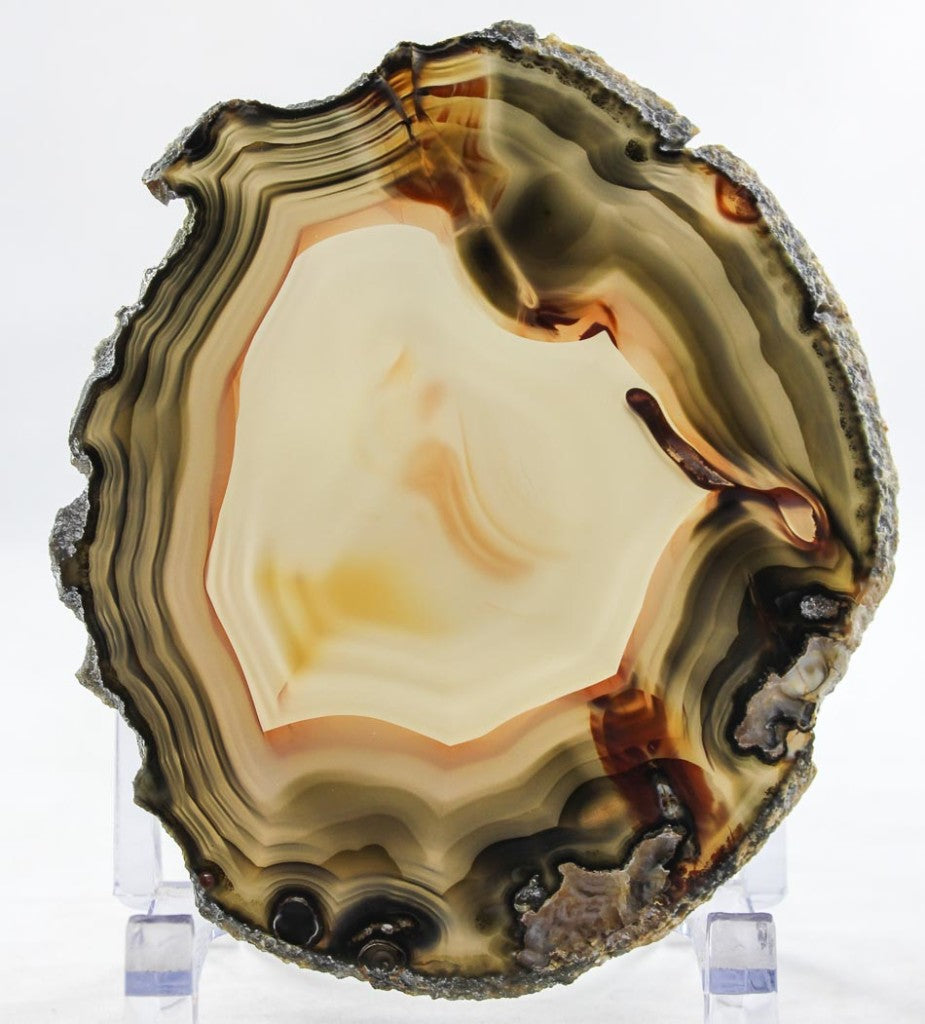 Brazilian Agate Slice