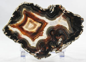 Brazilian Agate Slice