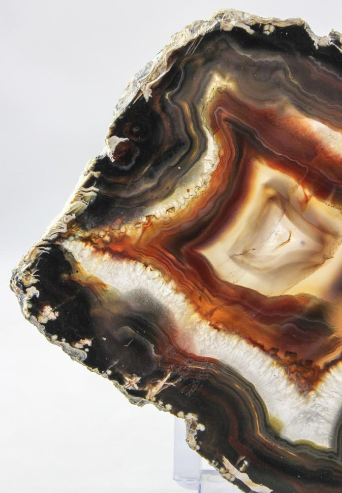 Brazilian Agate Slice