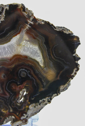 Brazilian Agate Slice
