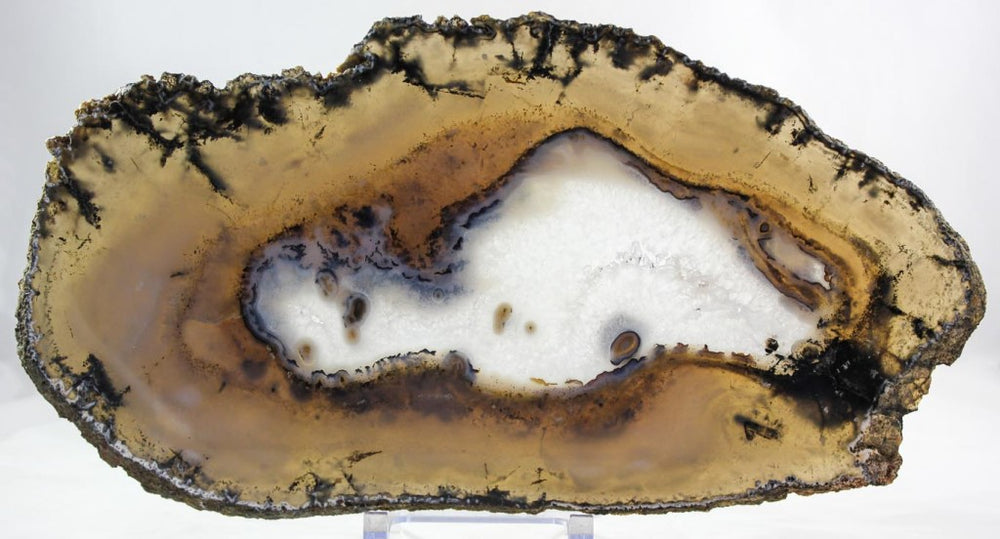 Brazilian Agate Slice