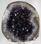 Uruguayan Amethyst Cluster