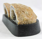 Agate Geode Pair