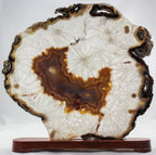 Brazilian Agate Slab w/ Crystal