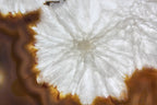 Brazilian Agate Slab w/ Crystal