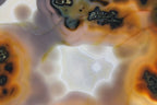 Brazilian Agate Slab