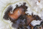 Brazilian Agate Slab w/ Crystal