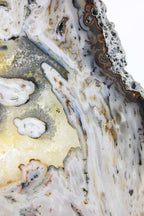 Brazilian Agate Slice w/Crystal