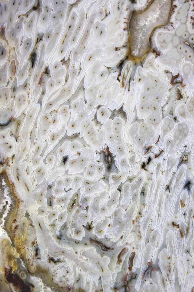 Brazilian Agate Slice