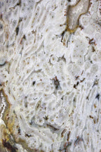 Brazilian Agate Slice