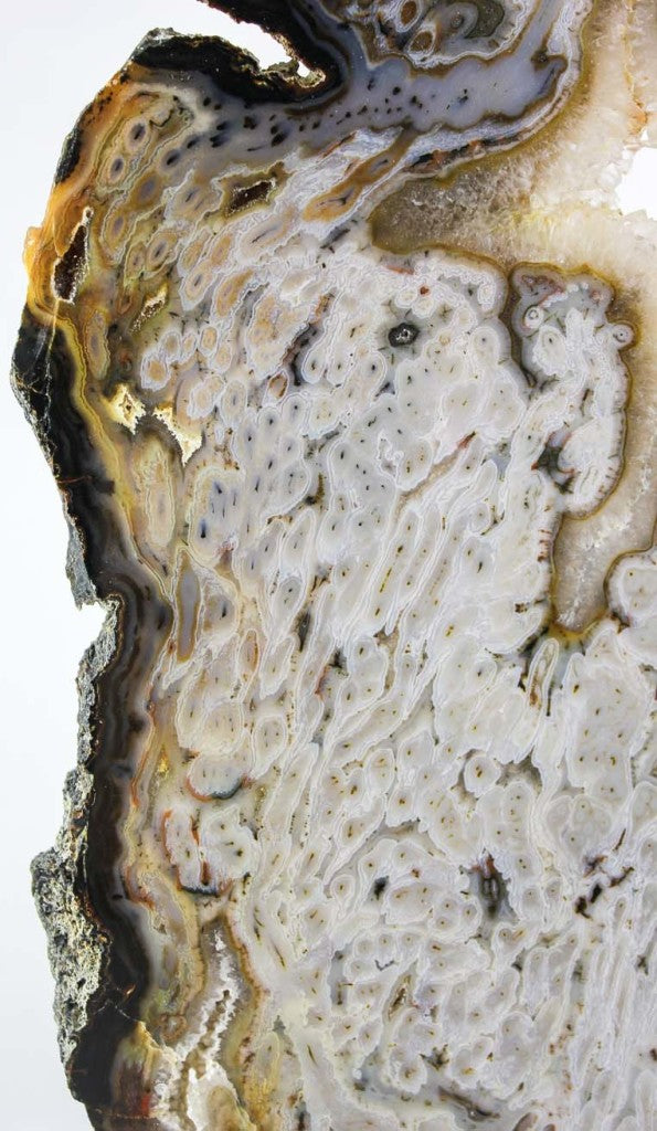 Brazilian Agate Slice