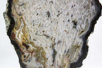 Brazilian Agate Slice