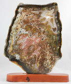 Brazilian Agate Slab
