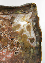 Brazilian Agate Slab