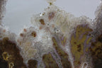 Brazilian Agate Slice