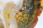 Brazilian Agate Slice