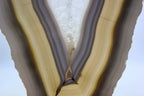 Brazilian Agate Slice
