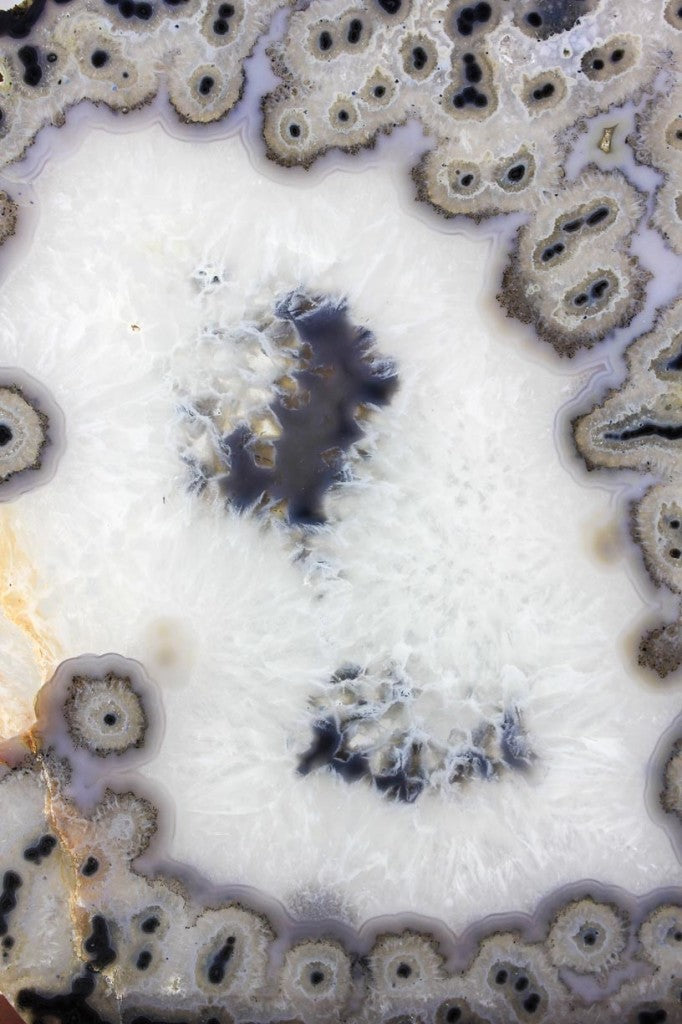 Brazilian Agate Slice w/Crystal