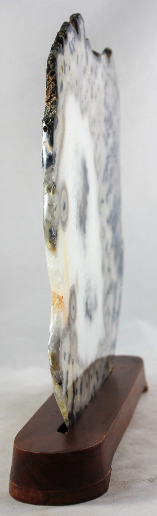 Brazilian Agate Slice w/Crystal