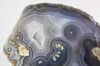 Brazilian Agate w/ Eyes