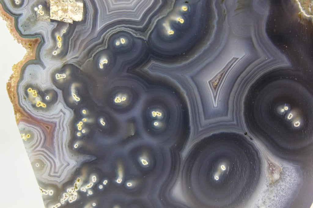 Brazilian Agate w/ Eyes