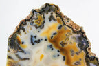 Brazilian Agate Slice