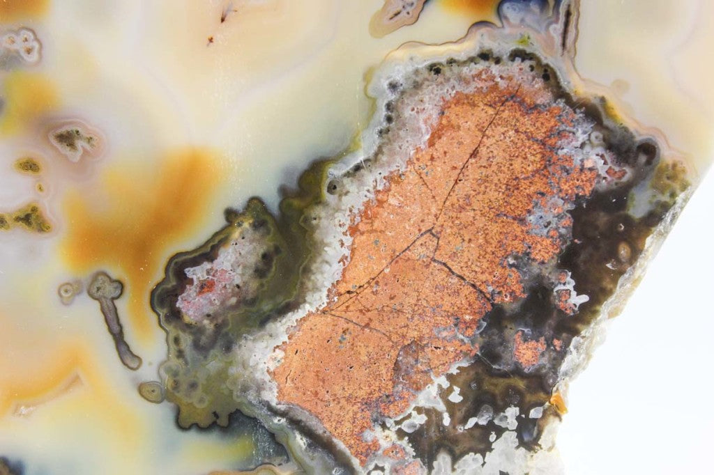 Brazilian Agate Slice