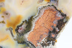 Brazilian Agate Slice