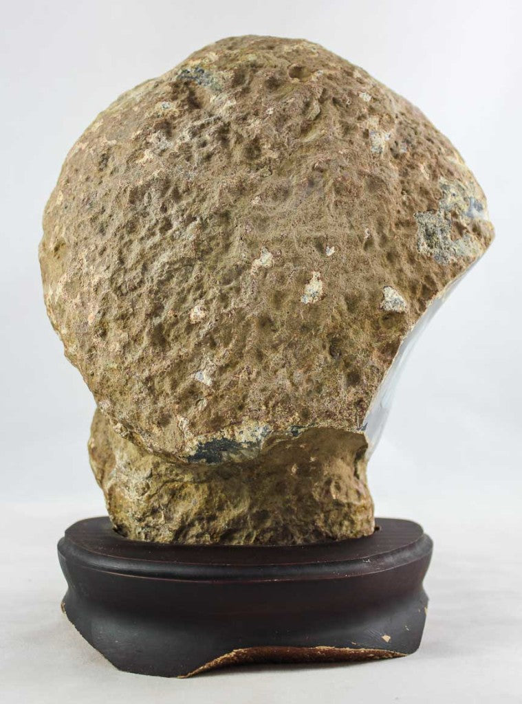 Brazilian Agate Endcap