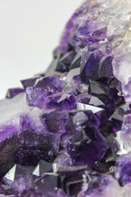 Brazilian Amethyst Cluster
